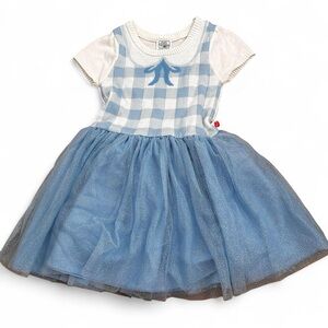 The Wizard of Oz Dorothy adorable blue and white tutu tulle dress